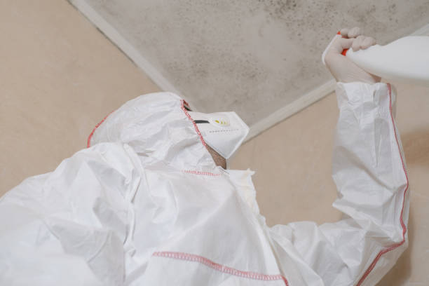 Water Damage Restoration in Shelburne Falls, MA